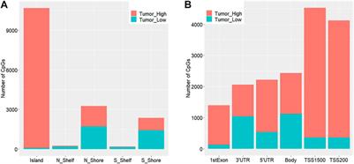 Integrative Analysis of DNA Methylation and Gene Expression Profiles Identifies Colorectal Cancer-Related Diagnostic Biomarkers